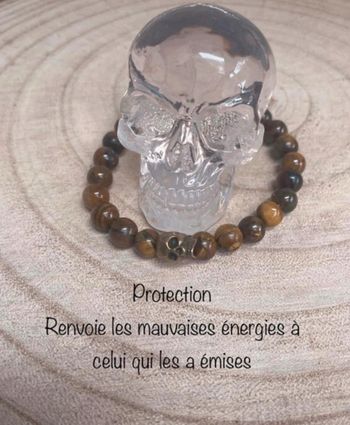 Bracelet oie il de tigre et tête de mort 21 cm , lithothérapie