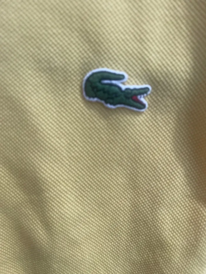 Polo Lacoste - photo numéro 4
