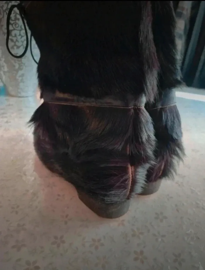 Bottes isba Taille 37 - photo numéro 5