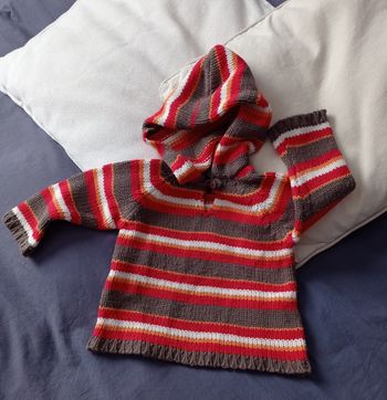 Pull capuche 12 mois