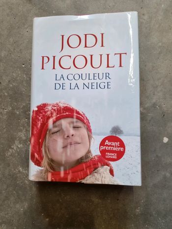 La couleur de la neige