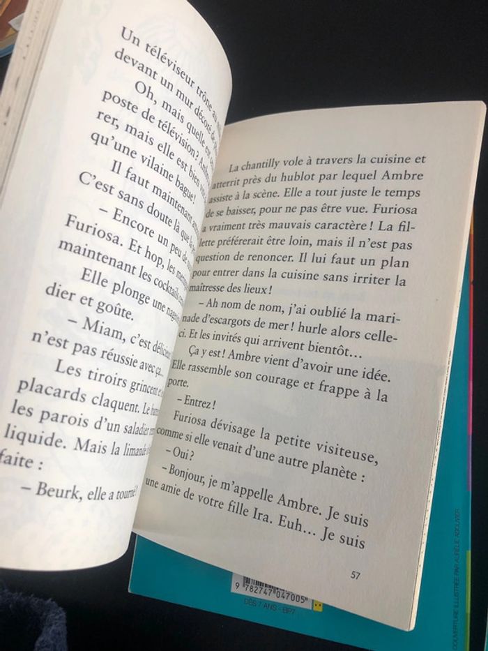 Livres Ambre et son dauphin magique - photo numéro 8