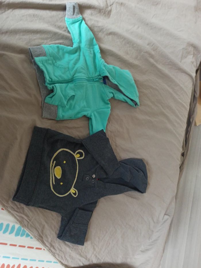 Lot 2 pulls légers à capuche