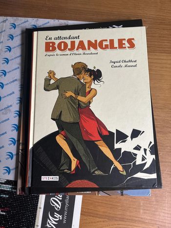En attendant Bojangles  d’après les roman d’Olivier Bourdeau