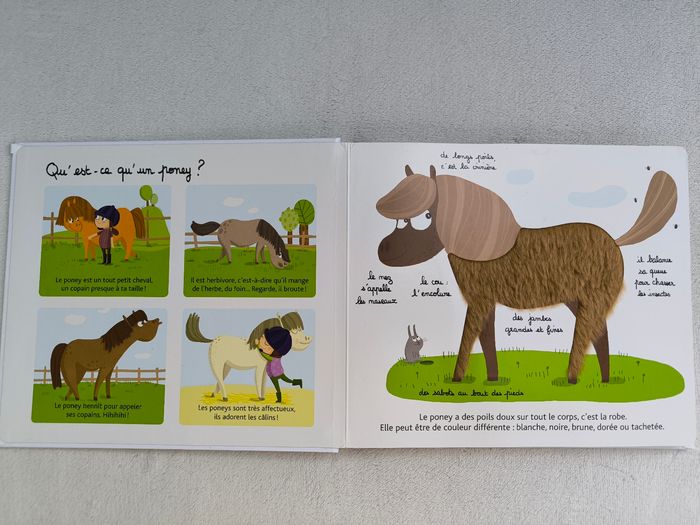 Livre Mon poney-club à toucher Milan - photo numéro 4