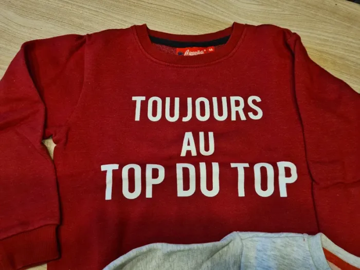 Lot sweat - photo numéro 2
