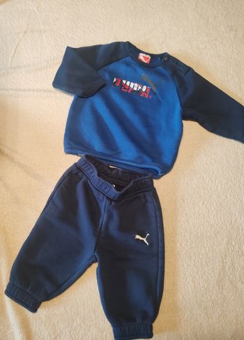 Ensemble puma