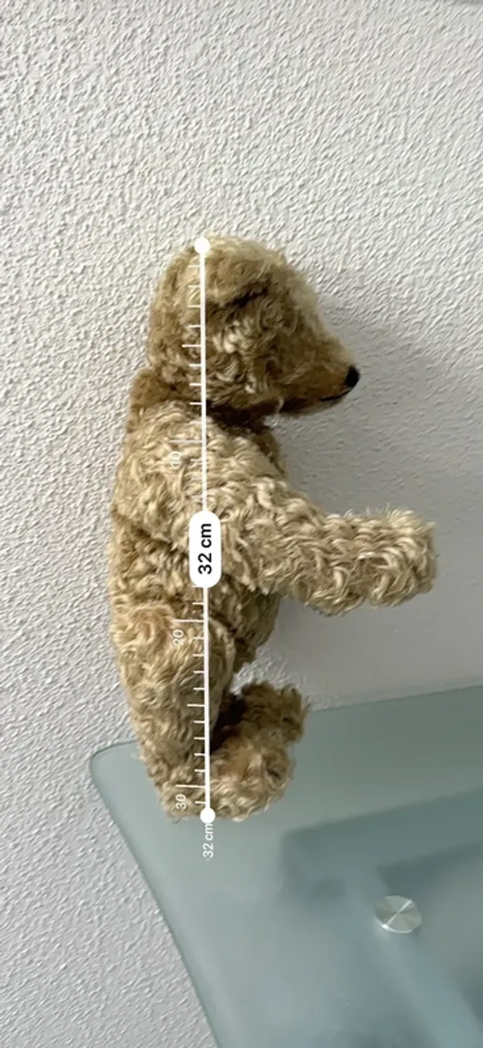 Ours de collection Steiff - photo numéro 4