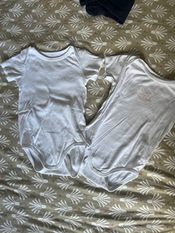 Bodies