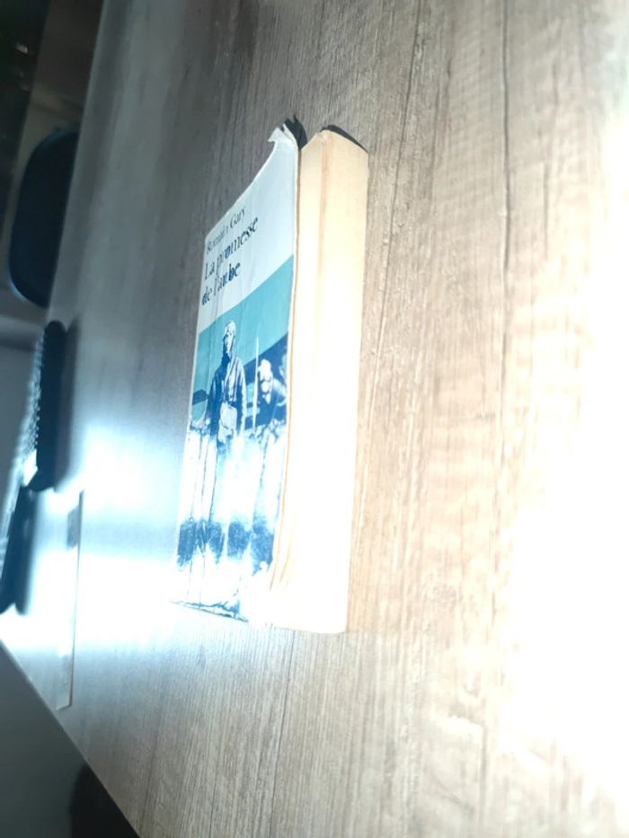 La promesse de l'aube - photo numéro 3