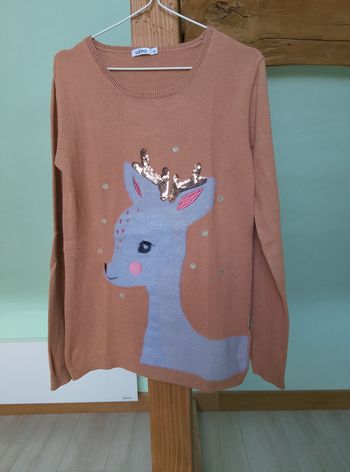 Pull renne