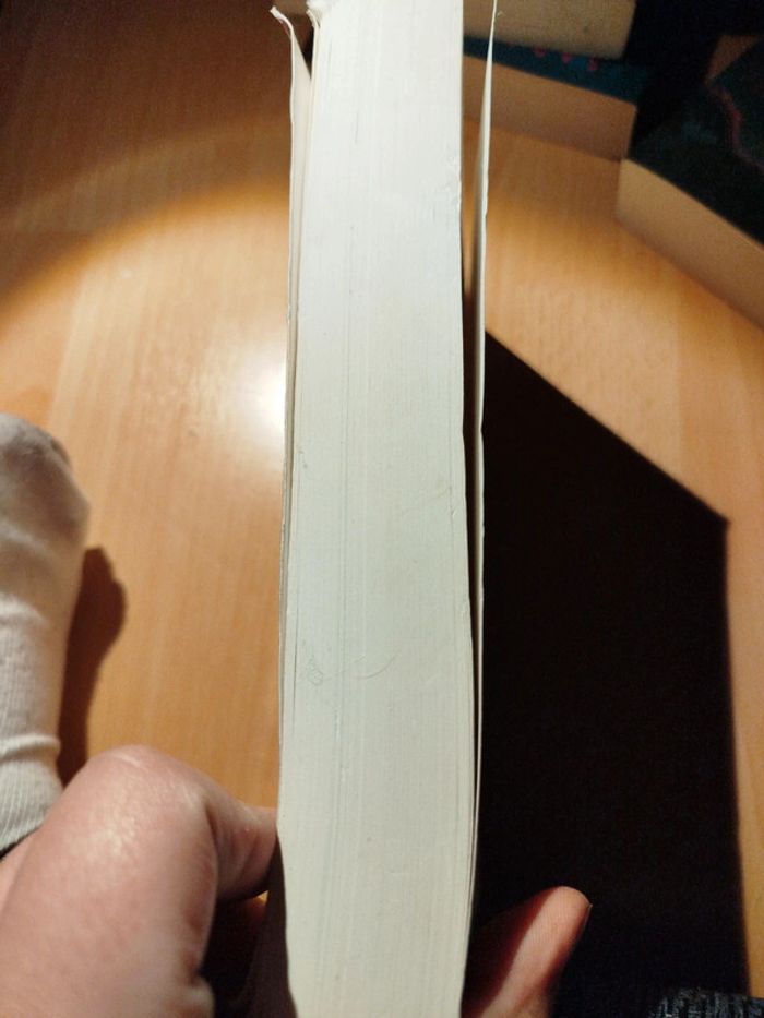 Roman comme des sœurs - photo numéro 4