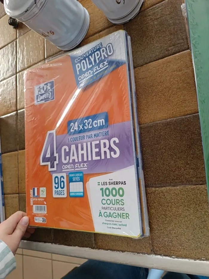 Lot de 4 cahiers Oxford polypro Open Flex 24 x 32 cm 96 pages grands carreaux neuf avec emballage - photo numéro 2