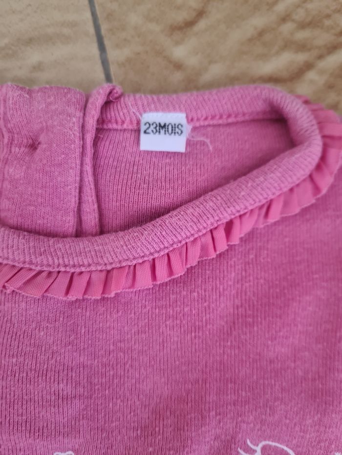 Lot 2 t-shirts / Taille 2 ans - photo numéro 2