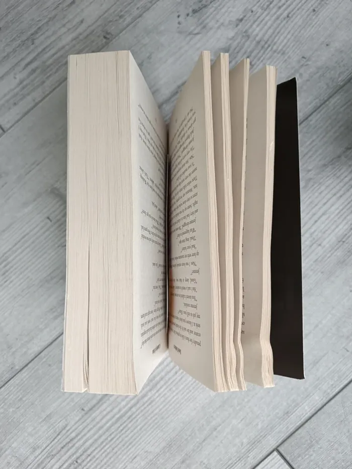 David Baldacci A Calamity of Souls - photo numéro 3