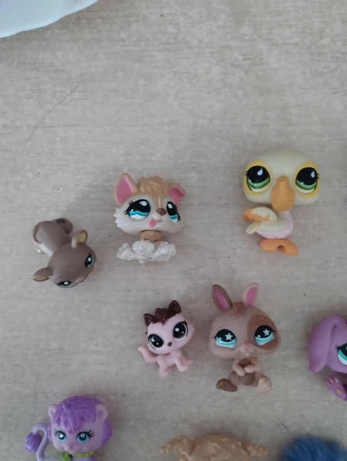 Lot de pet shop - photo numéro 4