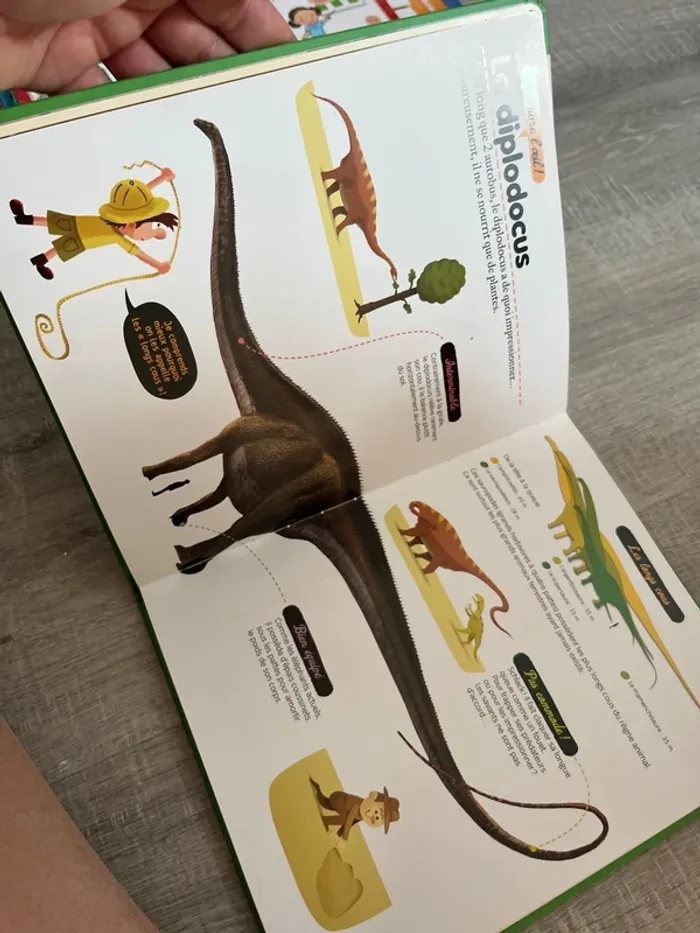 Livre sur les dinosaures - photo numéro 4
