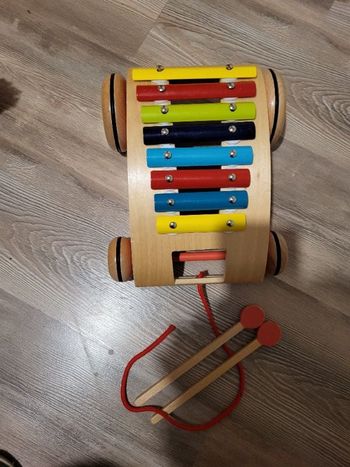 Xilophobe