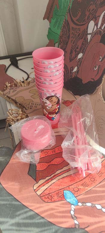 Gobelet Vaiana réutilisables