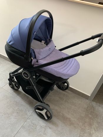 Trop Chicco best friend