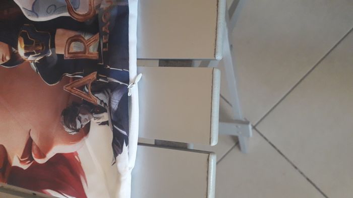 housse coussin league of legends - photo numéro 4