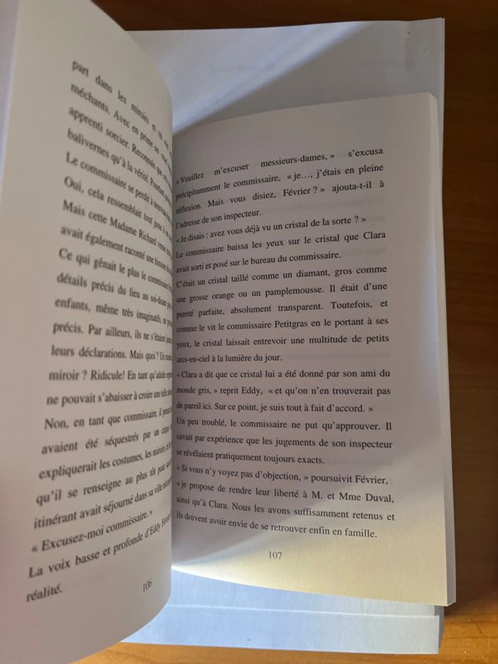 Au-delà du miroir Patrice Menettrier - photo numéro 3