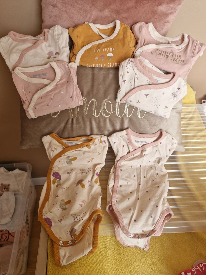 Lot de 7 bodies