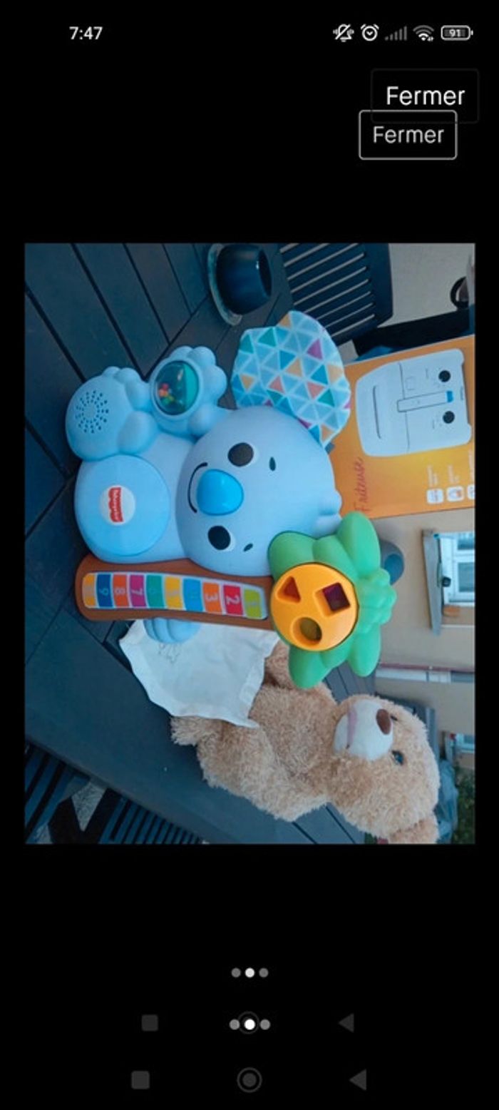 Koala musicale - photo numéro 2