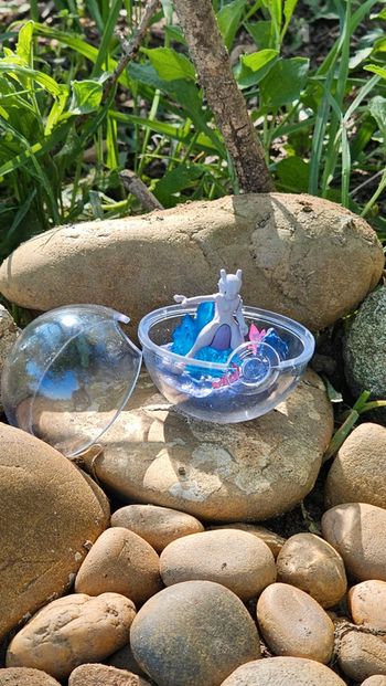Super figurine Pokemon Nintendo style terrarium Mewtwo