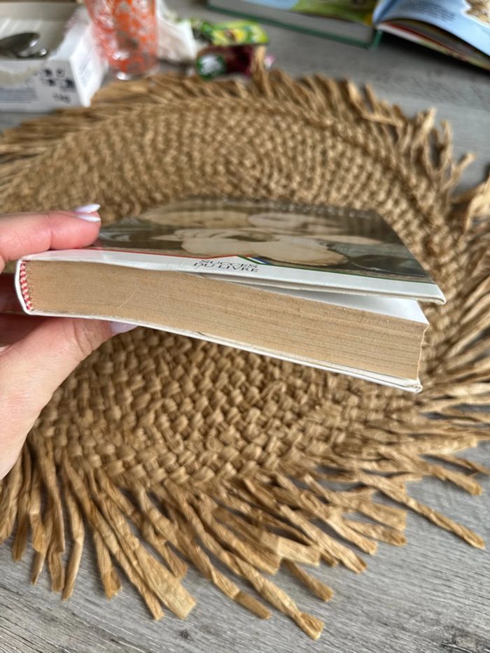 Livre la soupe aux cailloux - photo numéro 4