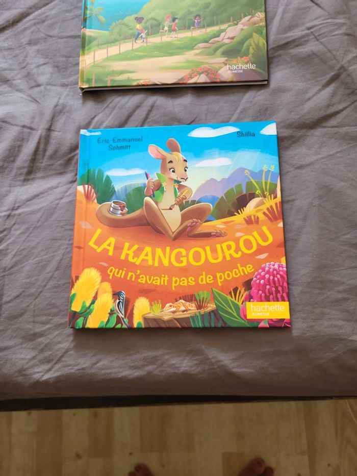 Livres Macdo - photo numéro 3