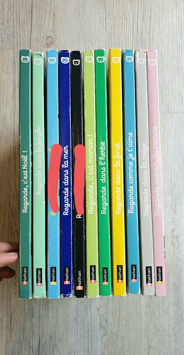 Livres Emiri Hayashi - photo numéro 2