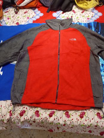 Veste homme north face