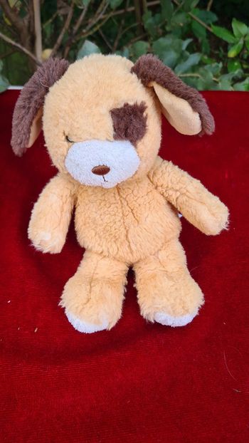 Petit chien doudou Gipsy tache a l 'œil