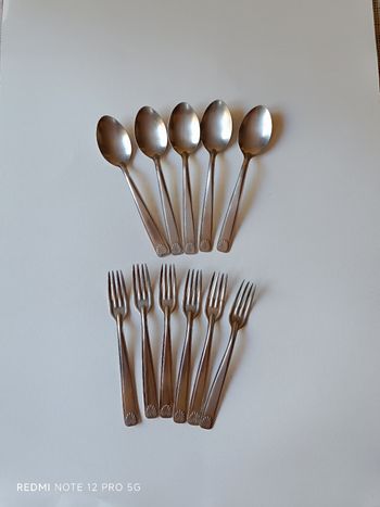 Fourchettes et cuillères inox x 11