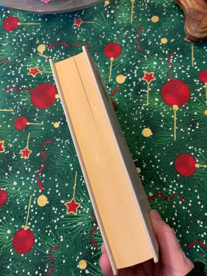 Les Noëls blancs - photo numéro 4