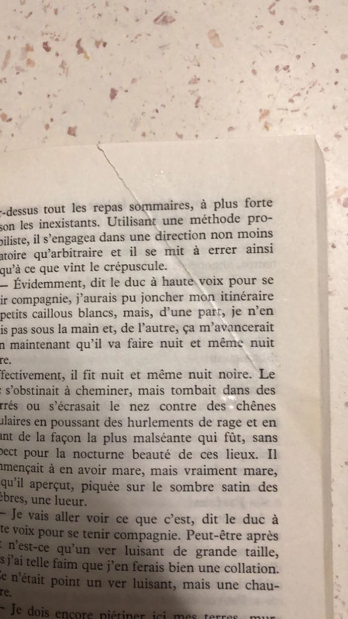 Les fleurs bleues - photo numéro 4