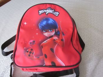 sac à dos (V)
