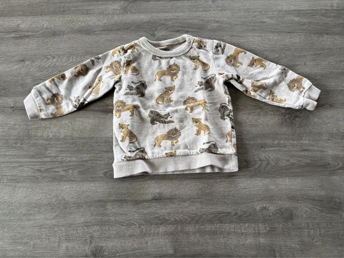 Pull 18 mois C&A