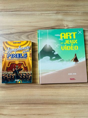 Lot de 2 livres Jeux Vidéos 