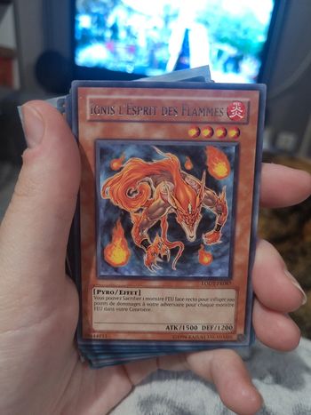 Ignis l'esprit des flammes