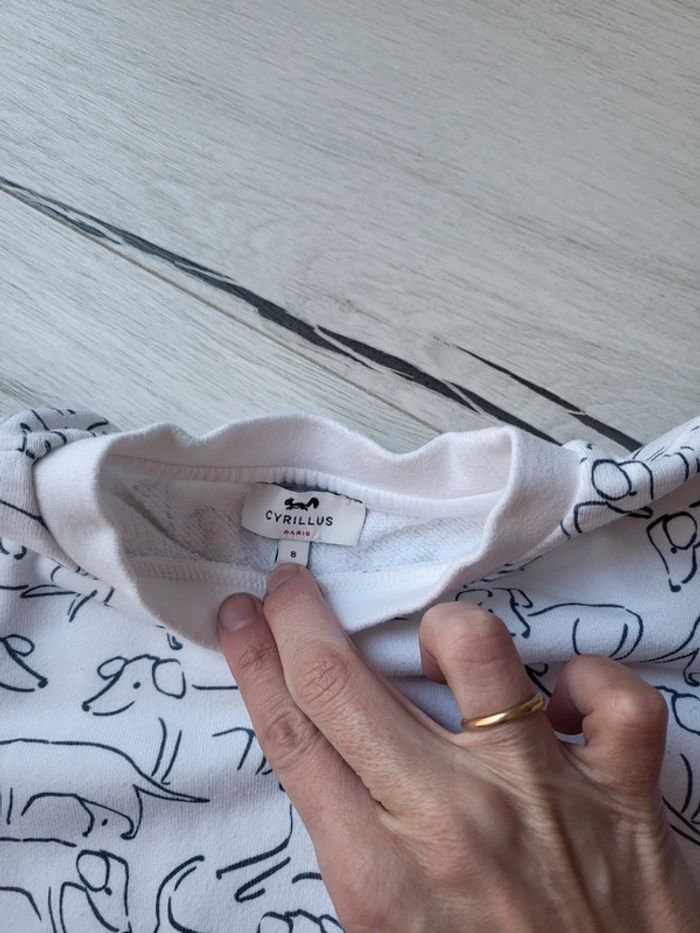 Pull chiens levriers cyrillus 8ans - photo numéro 3