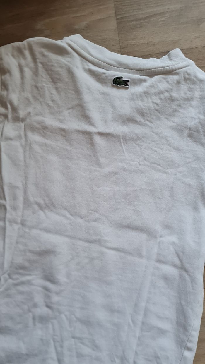 T-shirt lacoste - photo numéro 4