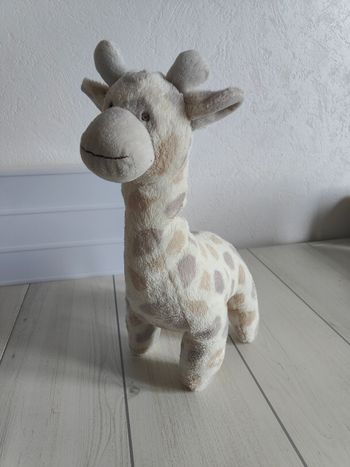 Peluche