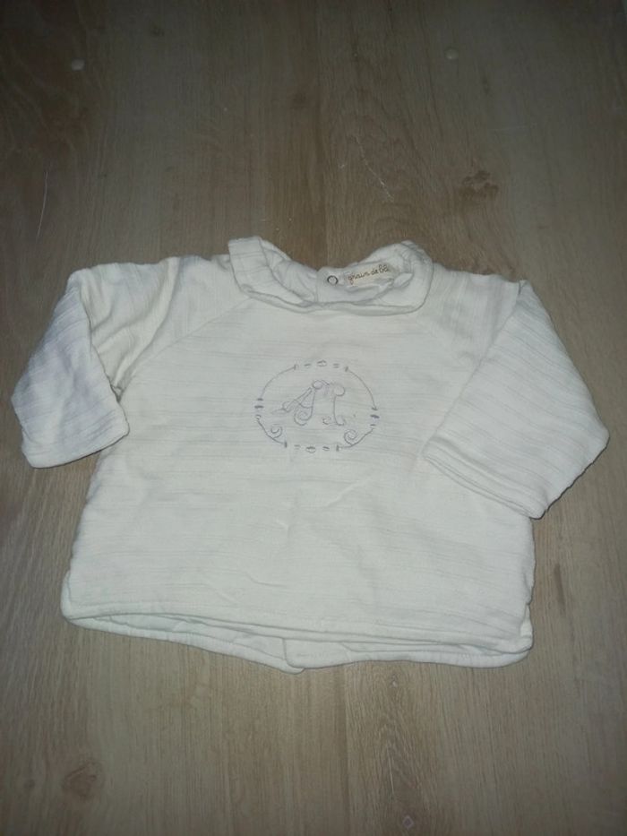 Pull grain de blé 9 mois