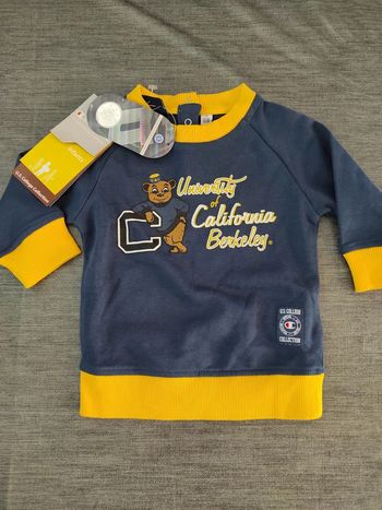 Pull mi saison Champion 6 mois