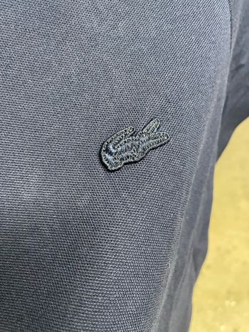 polo lacoste