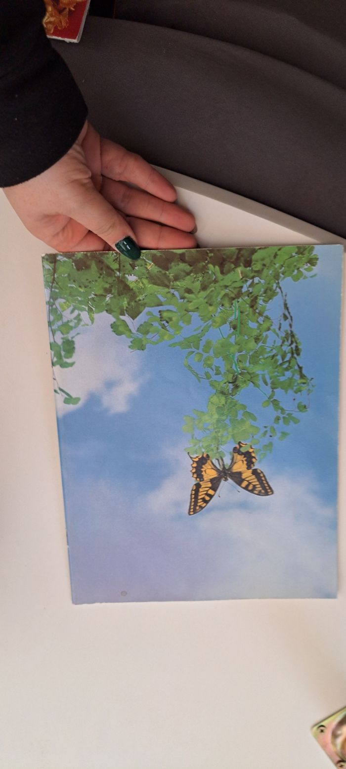 Livre - photo numéro 2