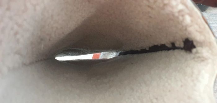 Botte ugg cuir - photo numéro 11