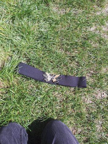 Ceinture avec attache papillon